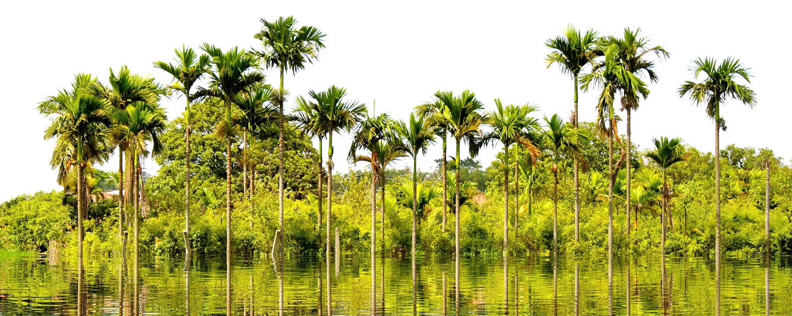 naturaleza2